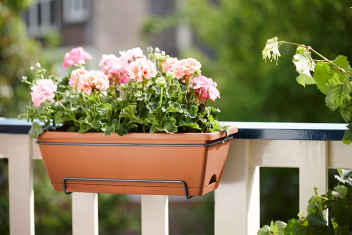 barcelona allin1 50cm terra